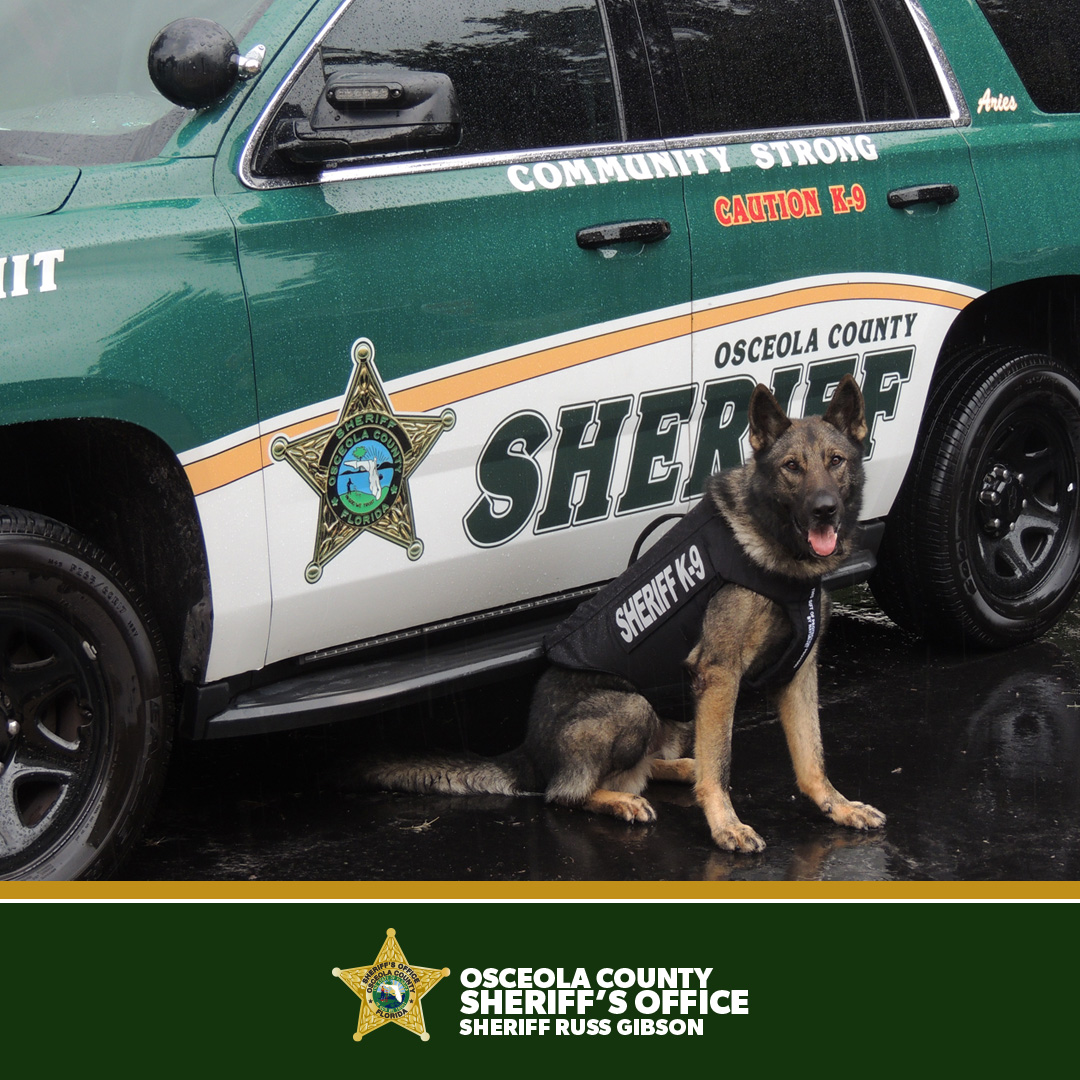 Osceola County Sheriff’s Office K9s Rocket, Aries, Brutus, Recon And ...